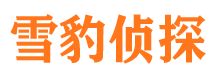 雁峰外遇调查取证